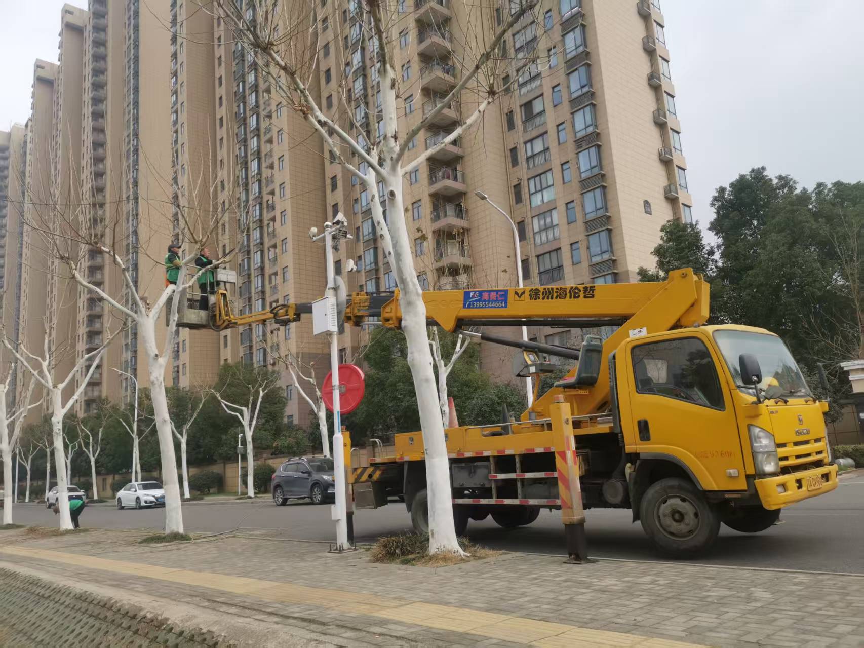 18米升降车修理树枝施工现场